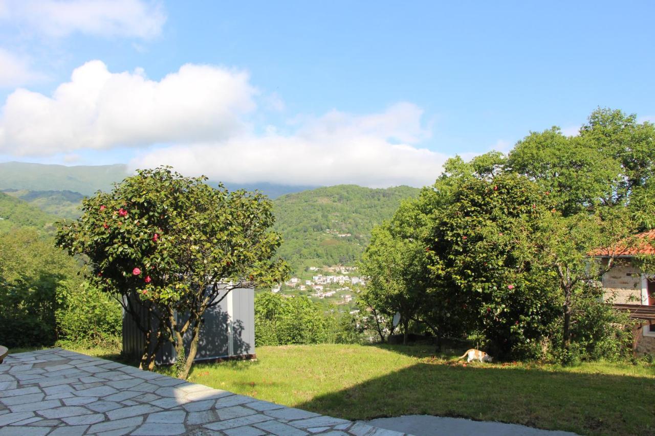 Camellia Guesthouse Anilio Pelion Bagian luar foto