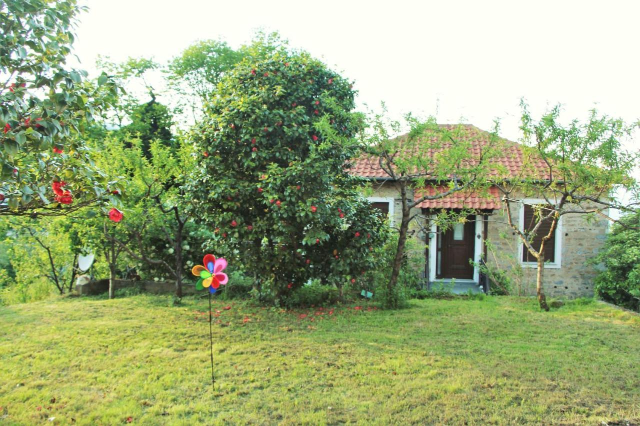 Camellia Guesthouse Anilio Pelion Bagian luar foto